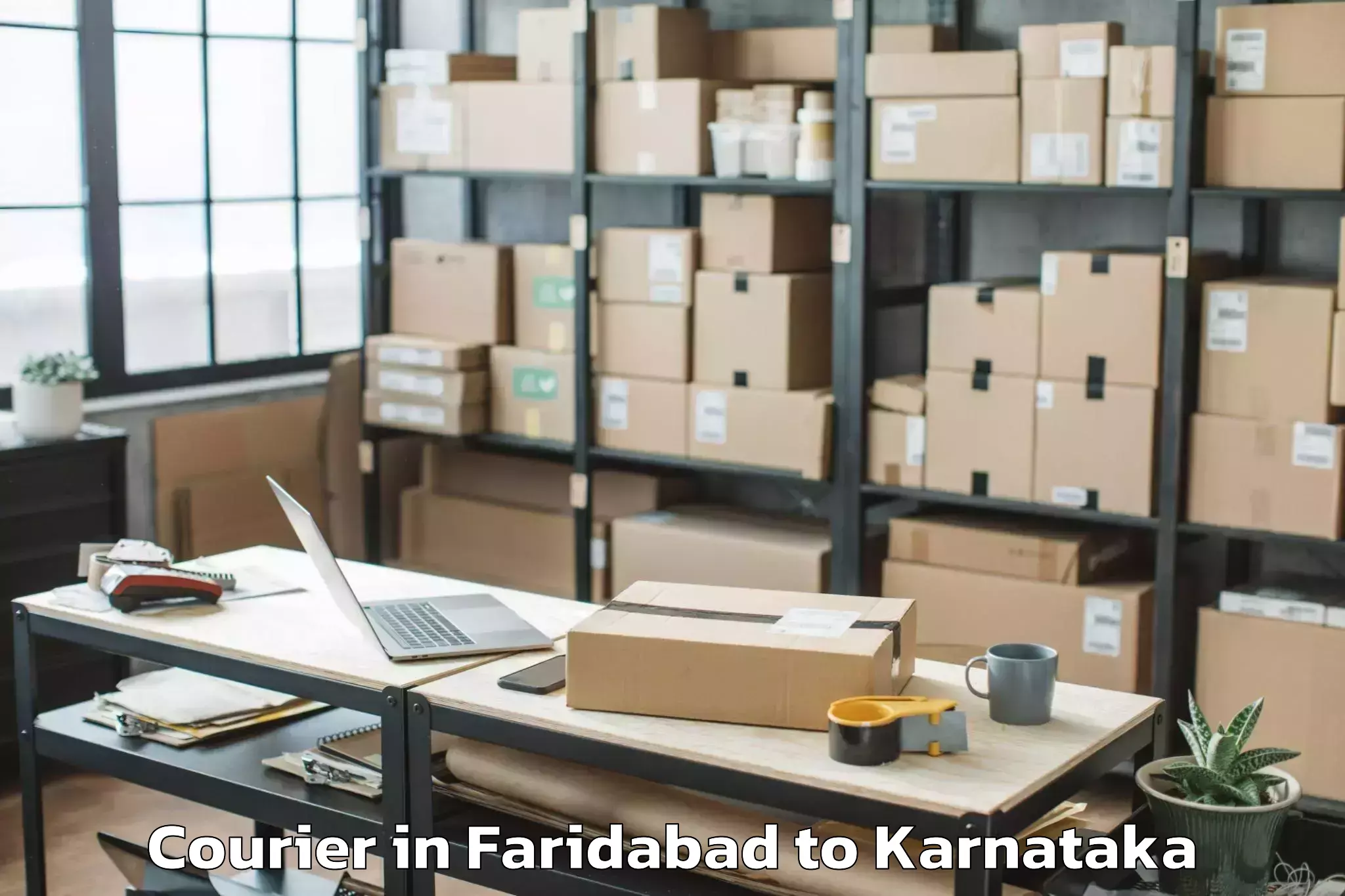 Affordable Faridabad to Panja Dakshin Kannad Courier